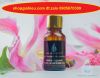 serum-trang-da-ngua-nhan-ngua-lao-hoa-se-khit-lo-chan-long-ngoc-trai-den-sua-ong-chua-nhat-viet-cosmetic-15-ml - ảnh nhỏ  1