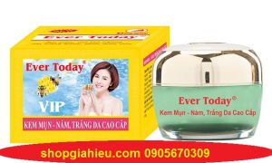 ever today kem mụn nám trắng da cao cấp vip 15g